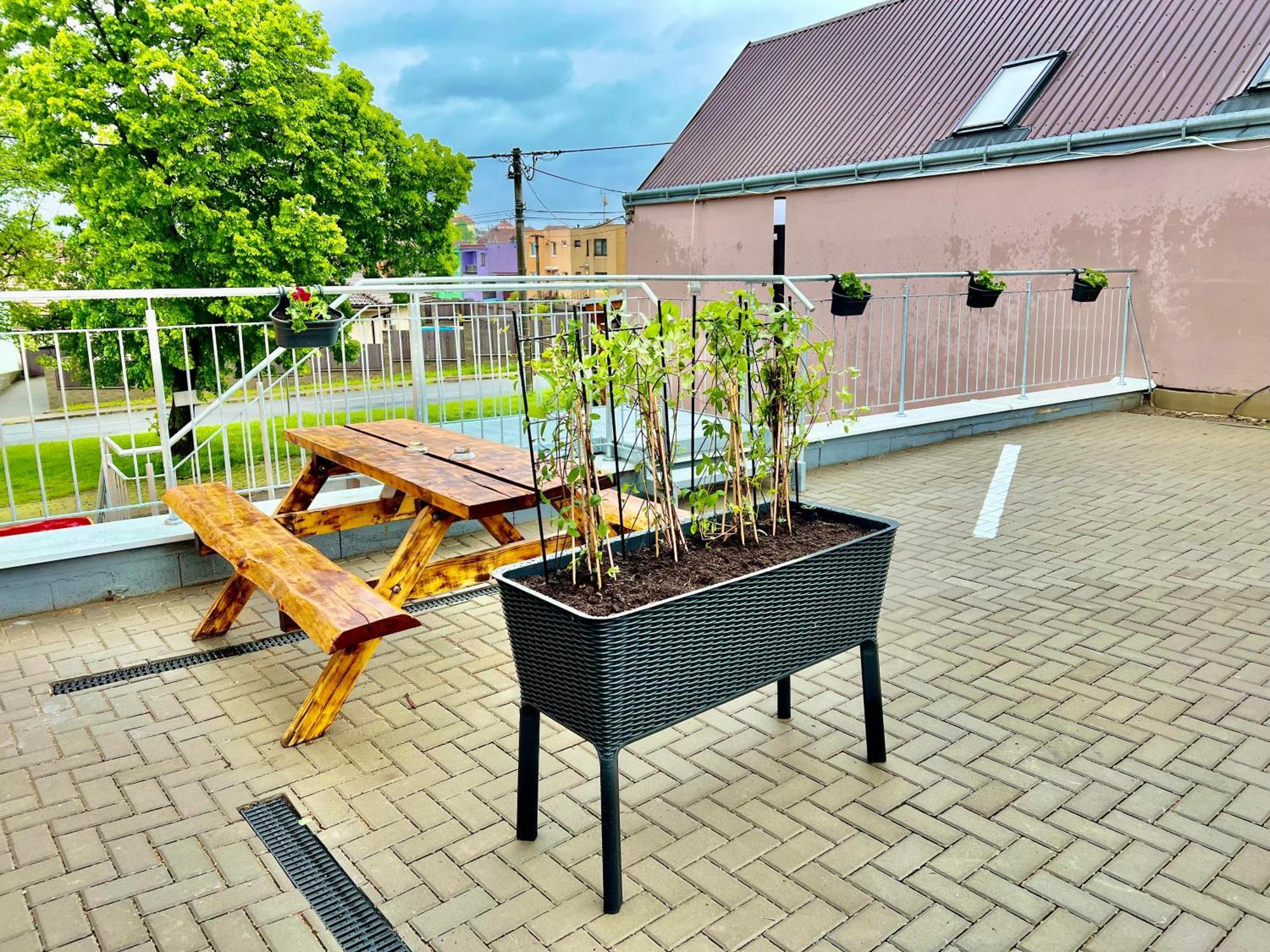 Penzion Bazen Vino Sklep U Palecku Zajeci Exterior photo
